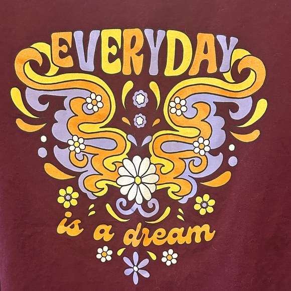 Hanes Burgundy Short Sleeve Tee with Colorful Graphic - Picture 4 of 6